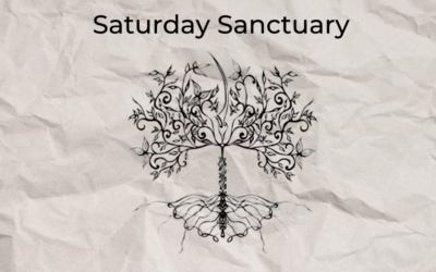 Saturday Sanctuary